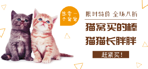 宠物猫窝猫粮促销微博焦点图