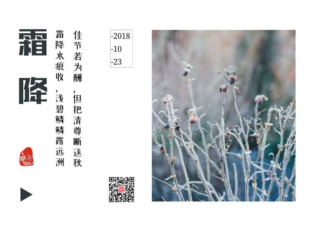 中国风传统二十四节气霜降