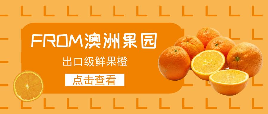 黄色水果澳洲果橙微信公众号首图