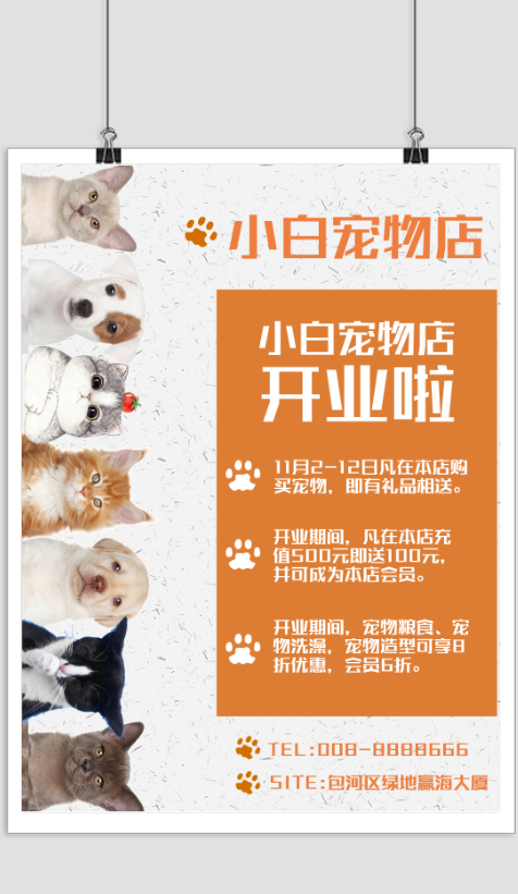 宠物店开业宣传海报