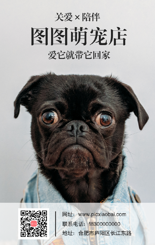简约宠物店宣传手机海报
