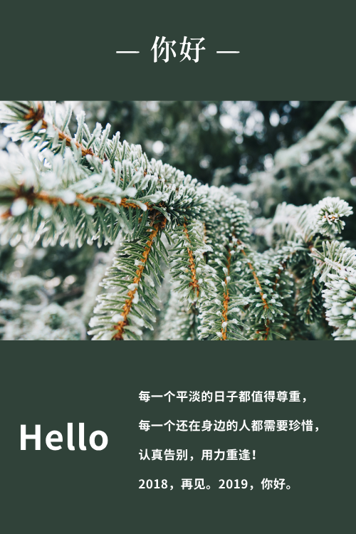 迎接2019公众号竖版配图