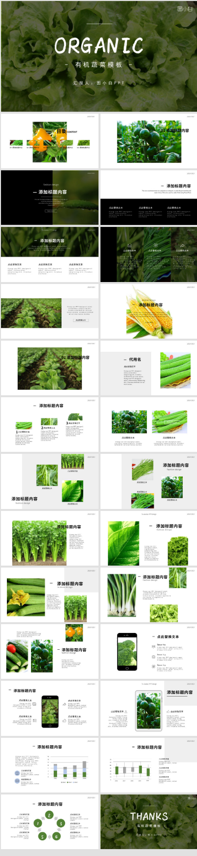 绿色蔬菜健康饮食工作汇报模板