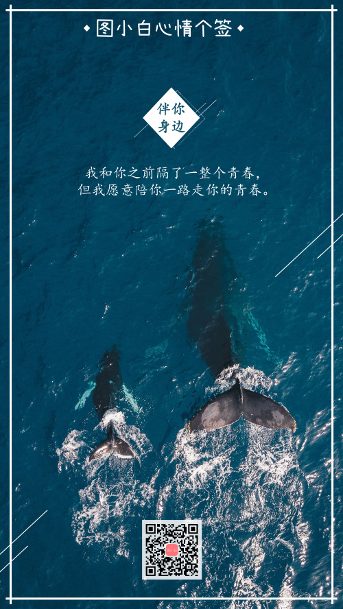青春的陪伴海洋鲸鱼心情个签