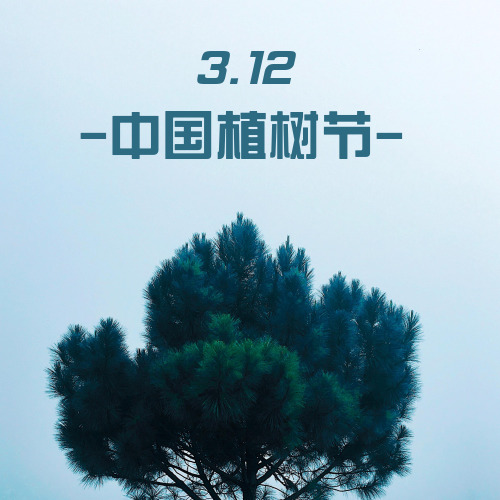 简约时尚清新中国植树节公众号宣传
