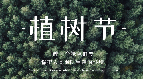 简约植树节宣传横版海报