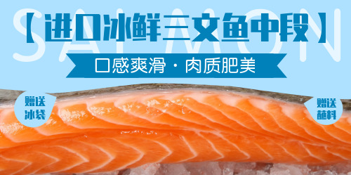 清新風格進口三文魚中段banner