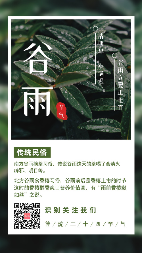 简约小清新谷雨节气宣传手机海报