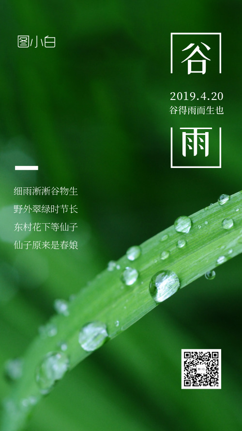 绿色意境谷雨二十四节气手机海报