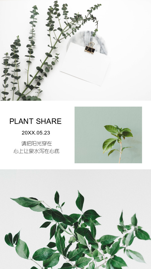 小清新植物分享拼图便签模板