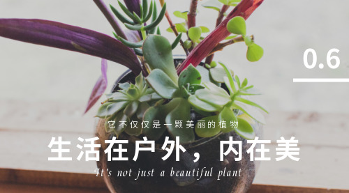 简约清新植物横版海报