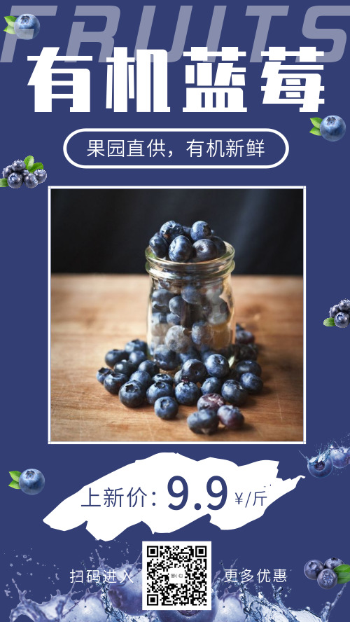 有机蓝莓果园直供上新价微商海报