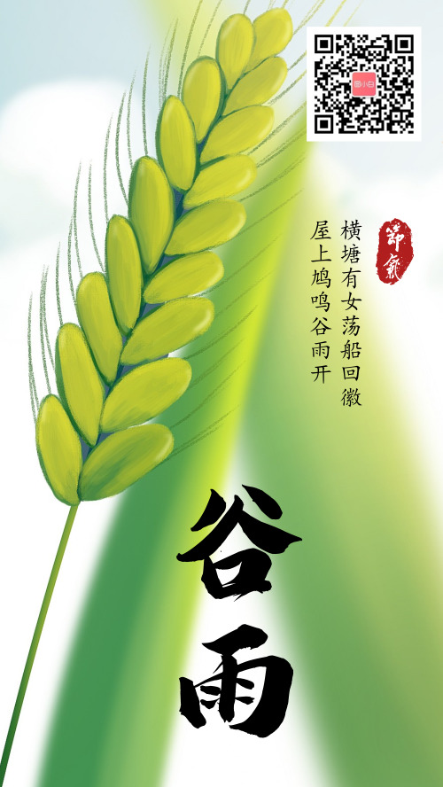 小麦生长季谷雨手机海报
