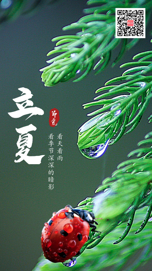 清新立夏中国二十四节气手机海报