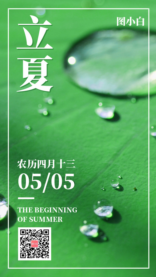 立夏传统节气祝福问候摄影绿叶海报