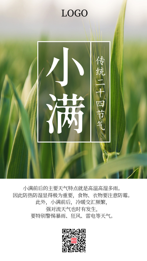 绿色小麦传统二十四节气之小满手机海报