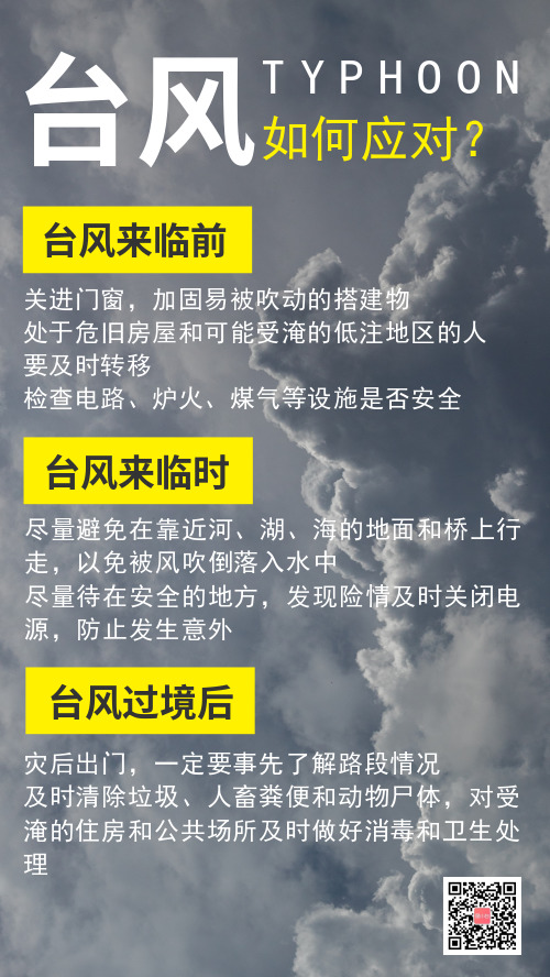 通知如何应对台风的措施手机海报