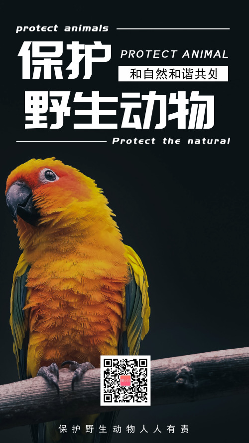 简约创意保护野生动物手机海报