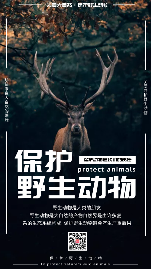简约保护野生动物公益环保海报