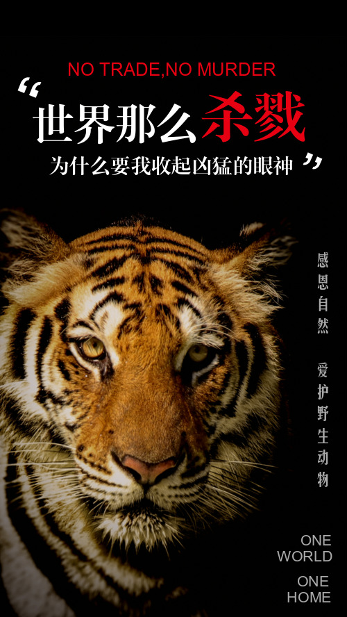 黑色简约保护野生动物公益海报