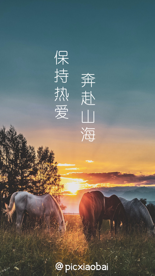 簡(jiǎn)約朝陽(yáng)駿馬手機(jī)壁紙