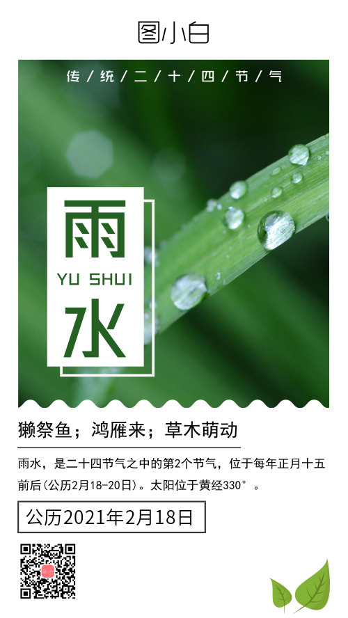 雨水二十四节气绿色清新手机海报