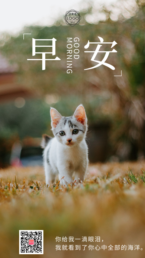 简约猫咪励志早安日签